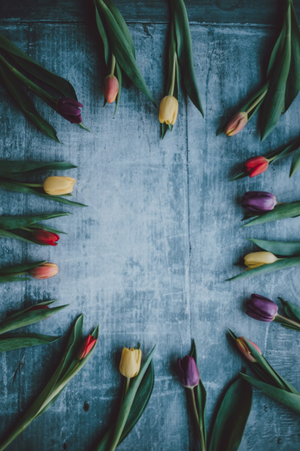 assorted-color flowers on surface