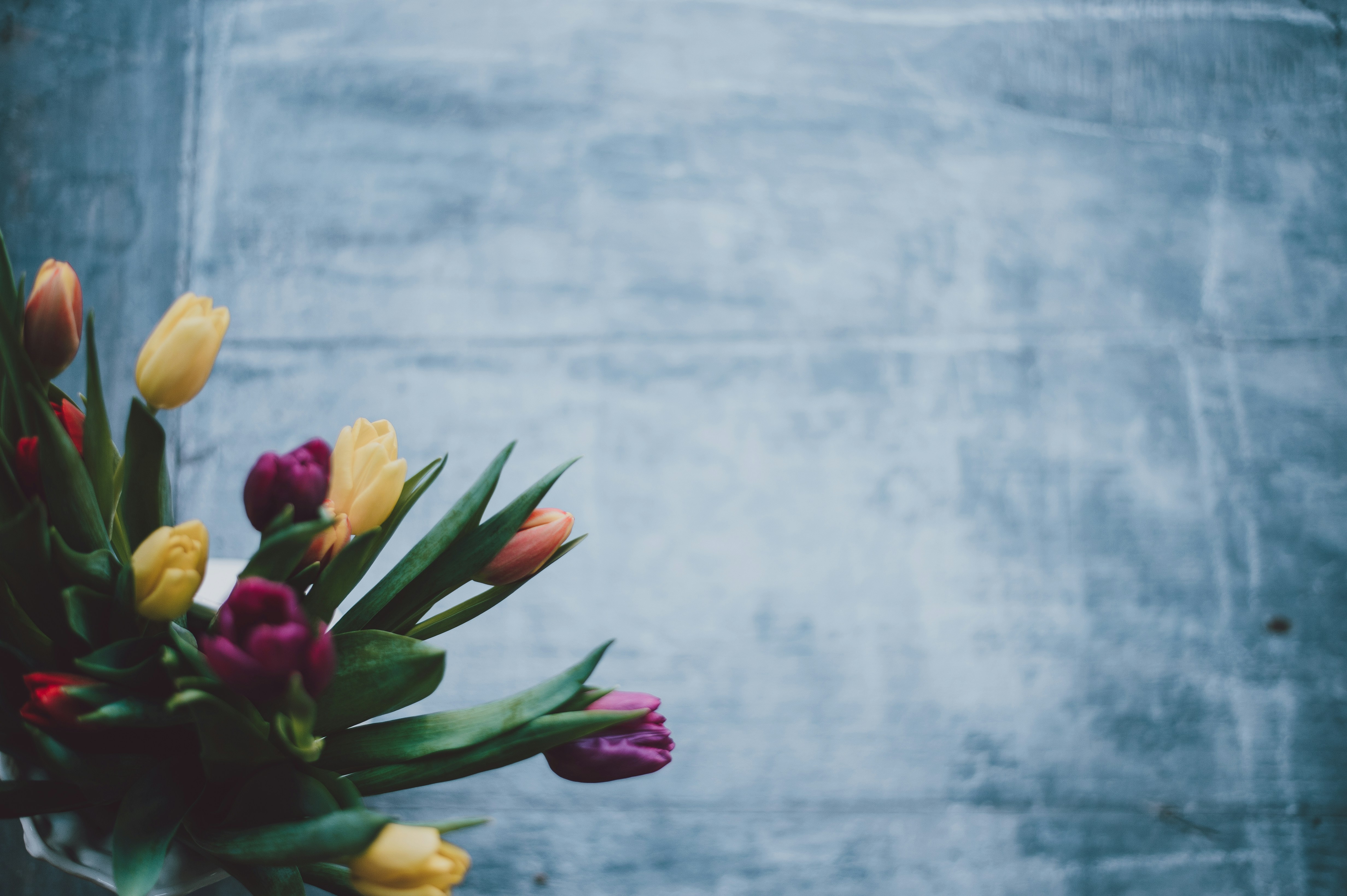 Photo by anniespratt