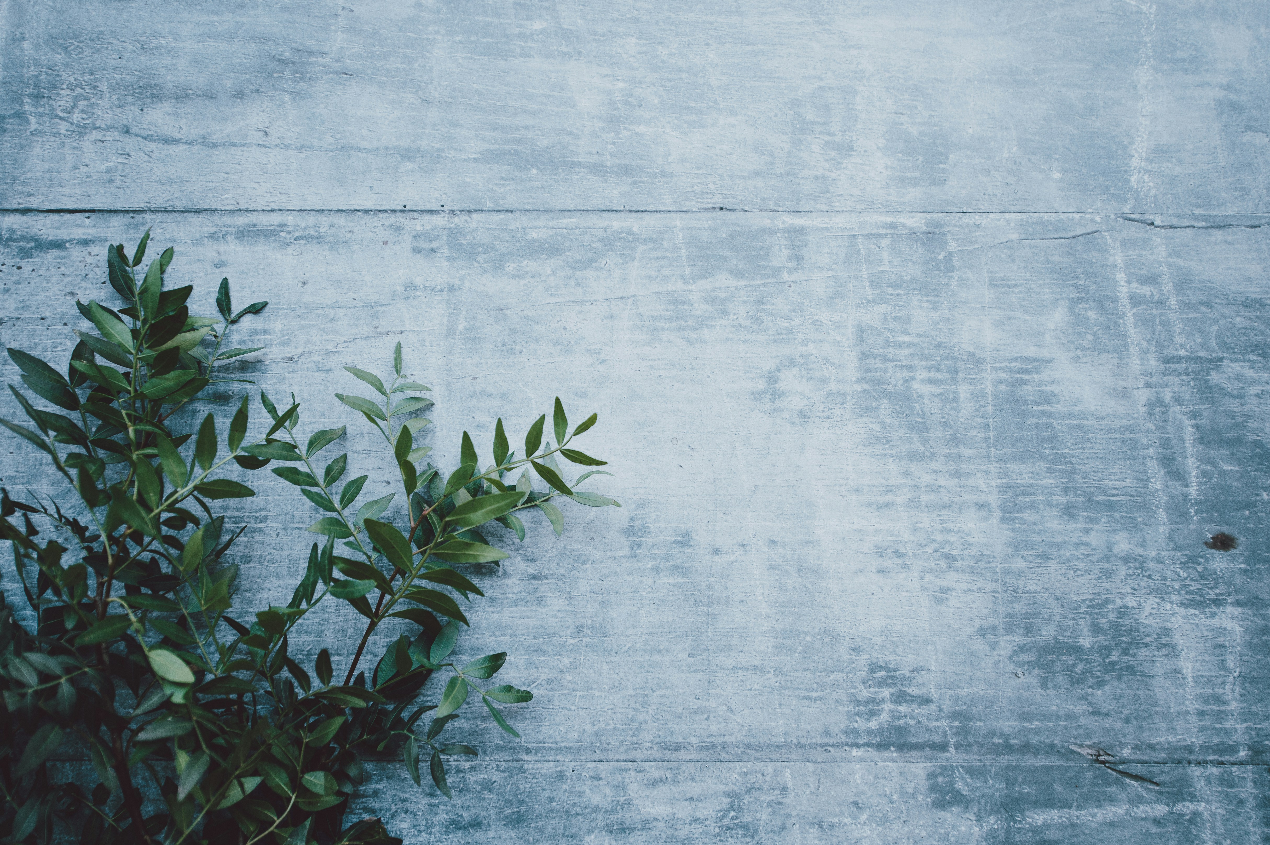 SwapTracker header image