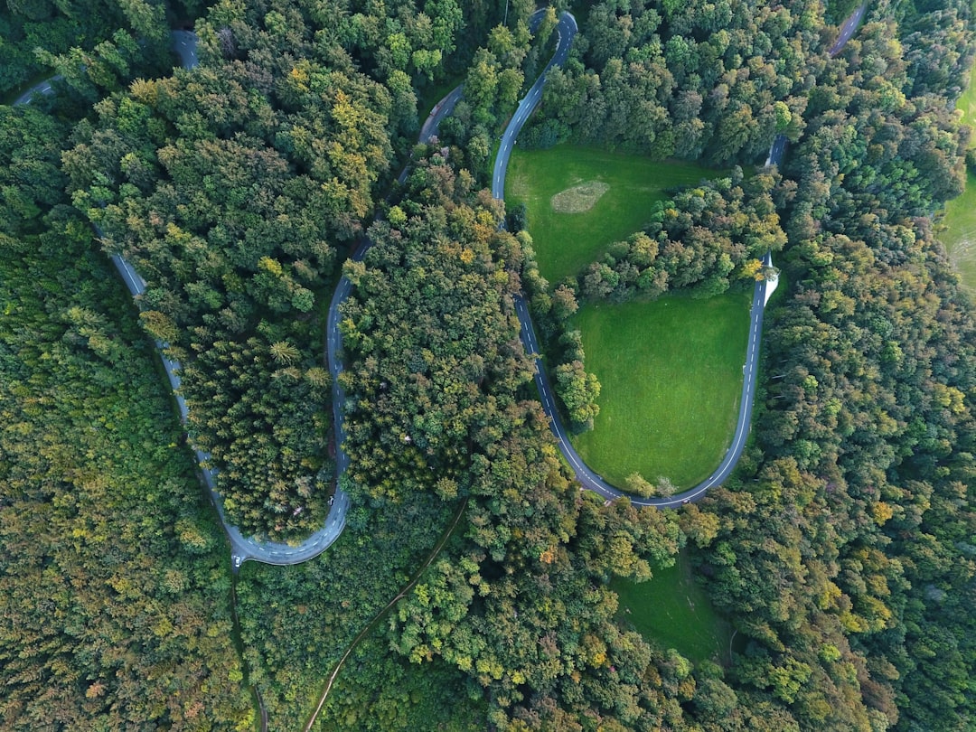 photo of Gempen Forest near Passwang Pass