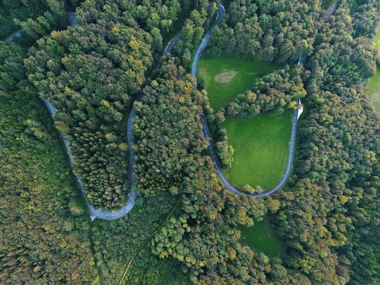 aerial photograph of concrete road between trees in Gempen Switzerland