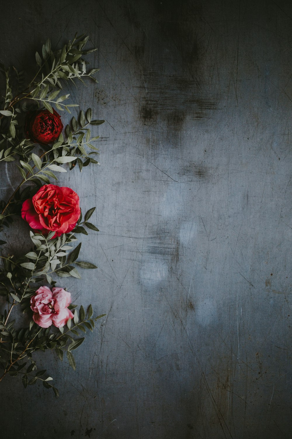 fotografia de foco raso de rosas vermelhas e rosas