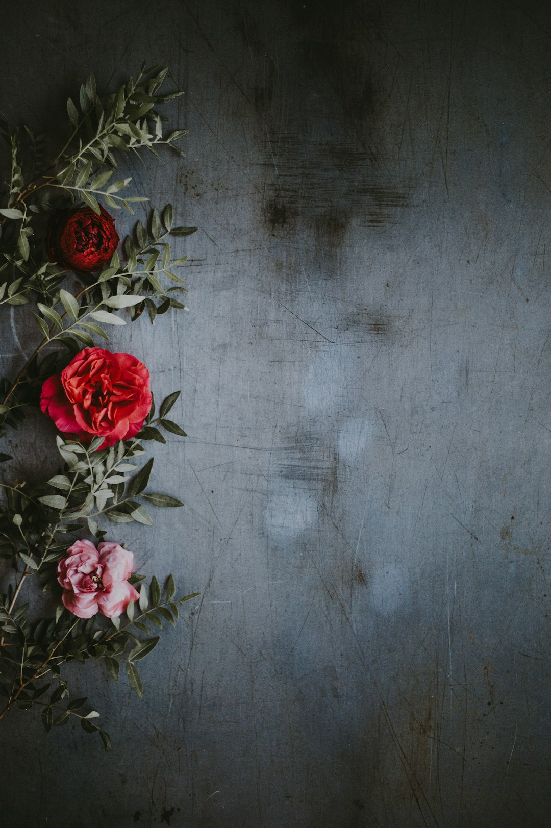 Shallow focus photography of red and pink roses