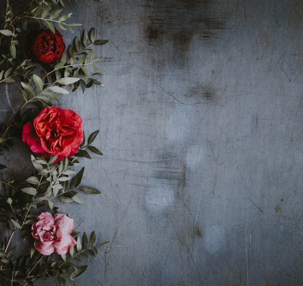 shallow focus photography of red and pink roses