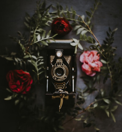 black folding camera surrounded red roses