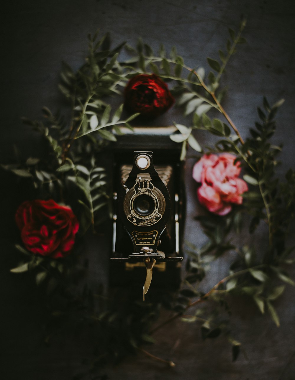 black folding camera surrounded red roses