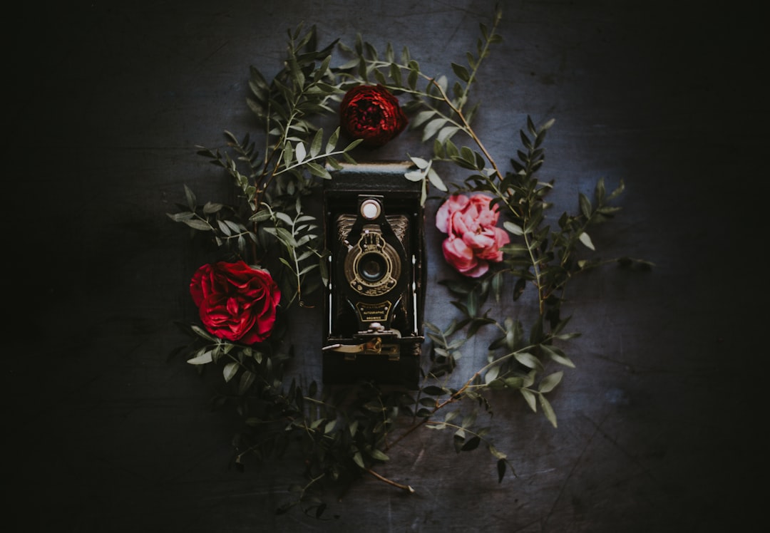black steel wall decor, Vintage Kodak Brownie wallpaper
