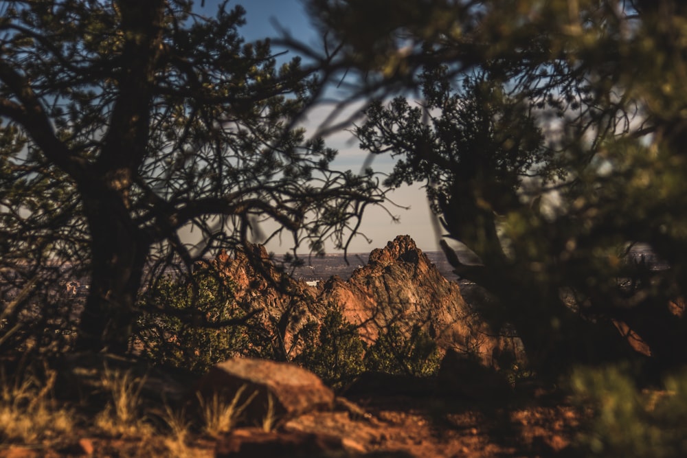 brown rocky mountain