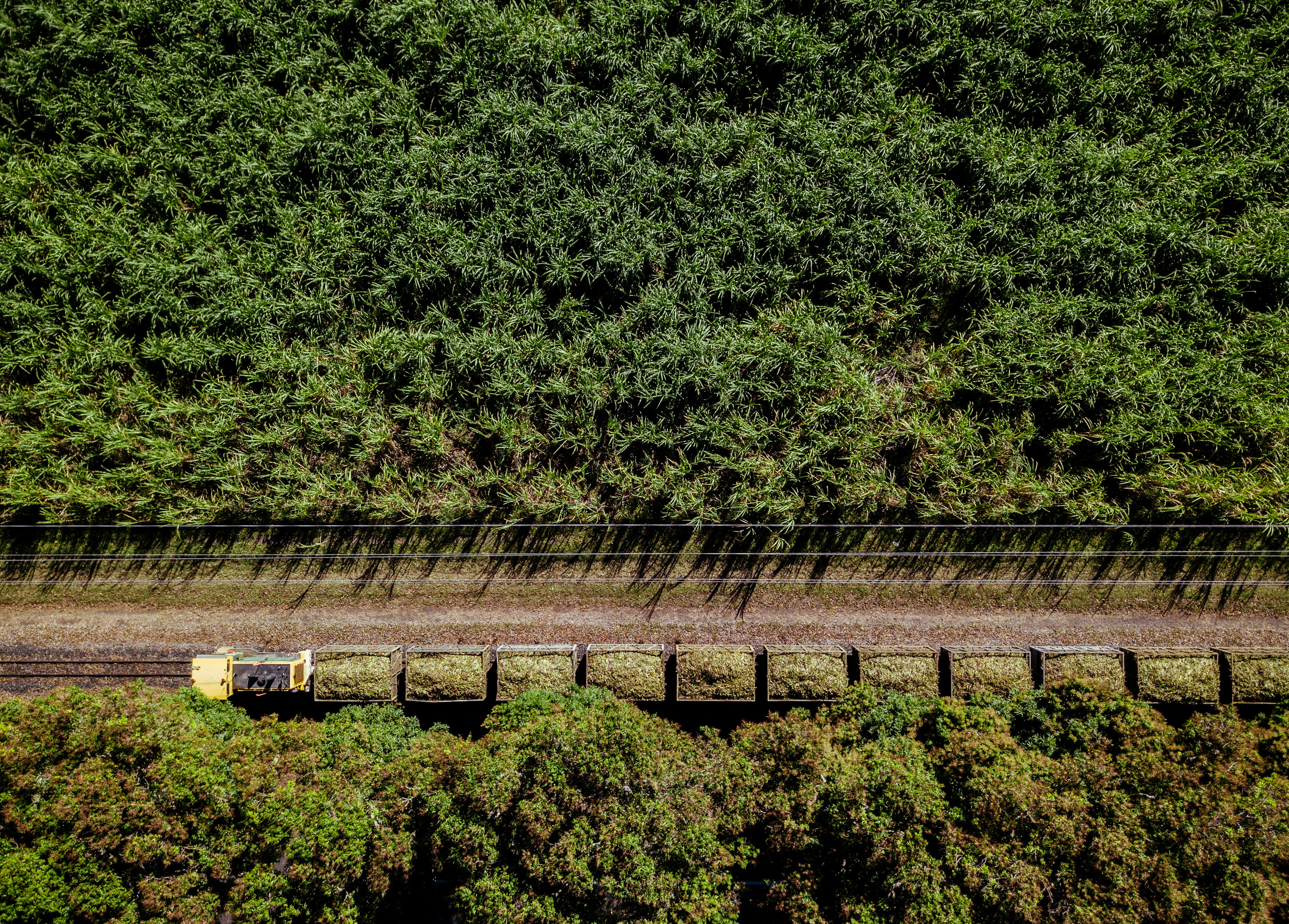 aerial photo of train in middle of jungle