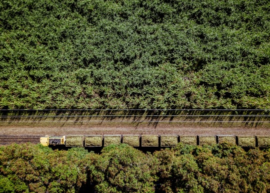 aerial photo of train in middle of jungle in Mackay Australia