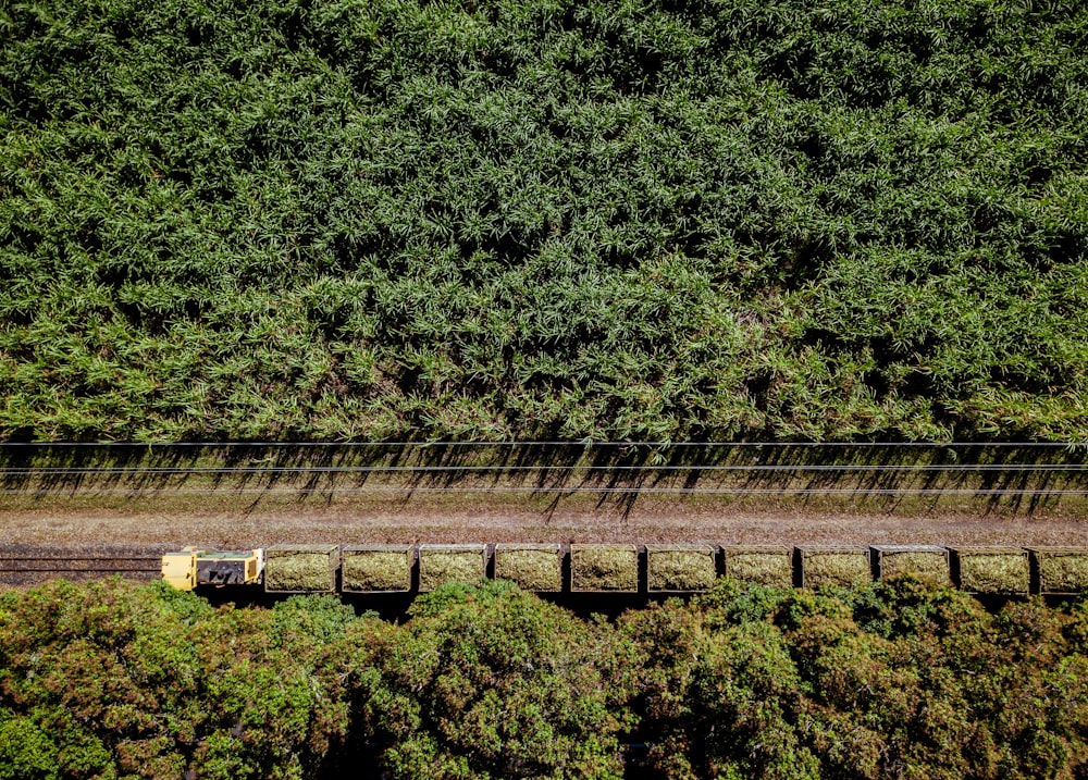 aerial photo of train in middle of jungle