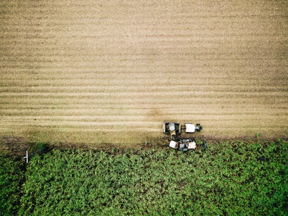 Aerial view of a tractor mowing a field. The field is divided into two sections, one with green crops and the other freshly cut. The tractor is moving along the boundary between the two sections.