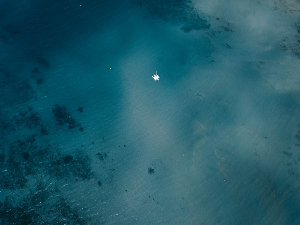 aerial photography of body of water