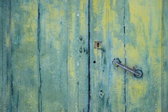 brown and green wooden plank boards