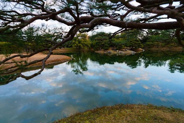 A serene pond reflecting the midnight green canopy and flickering lanterns above.