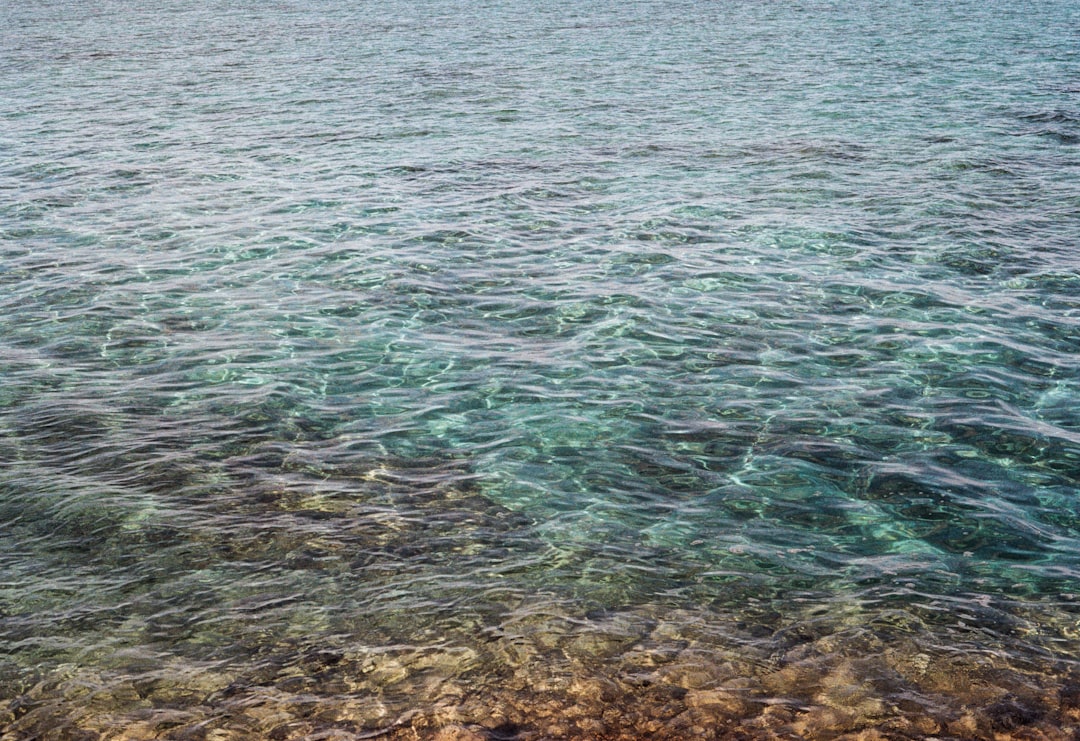 photo of Nakijin Shore near Southeast Botanical Garden