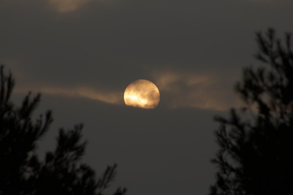 full moon covered with clouds