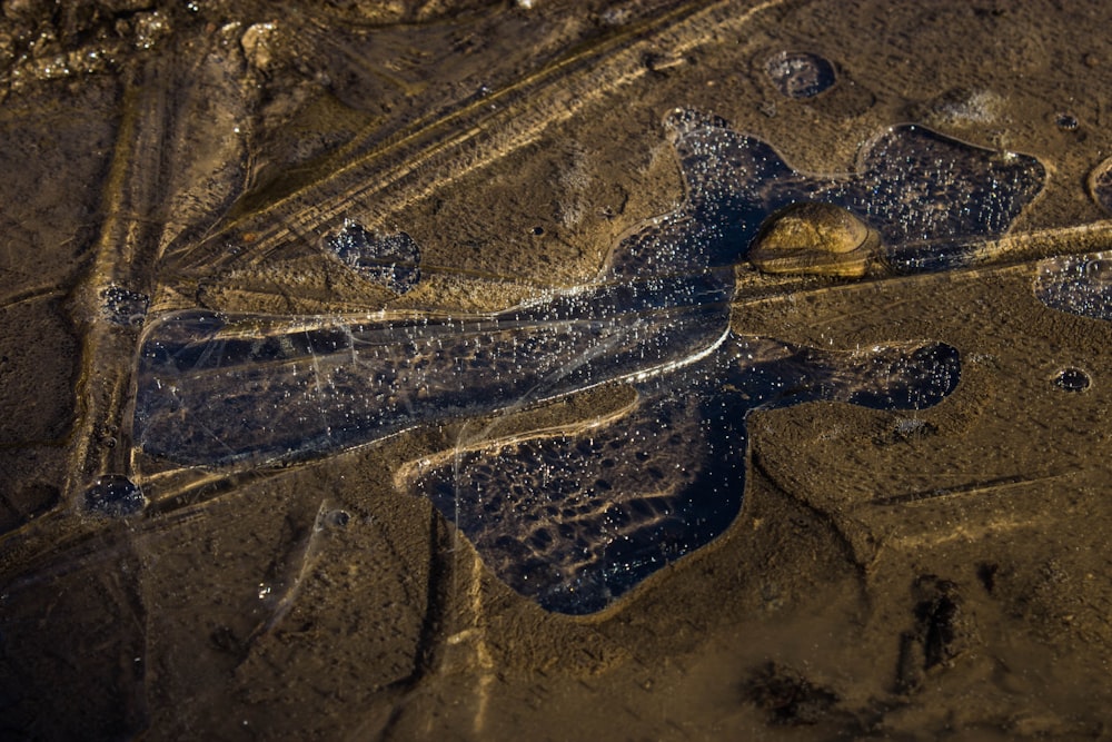 bird's eye view photography of land