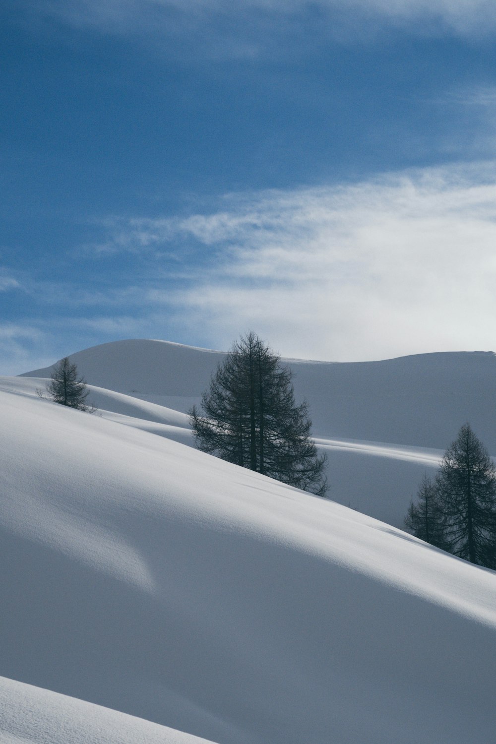 snow covered land under blue sky