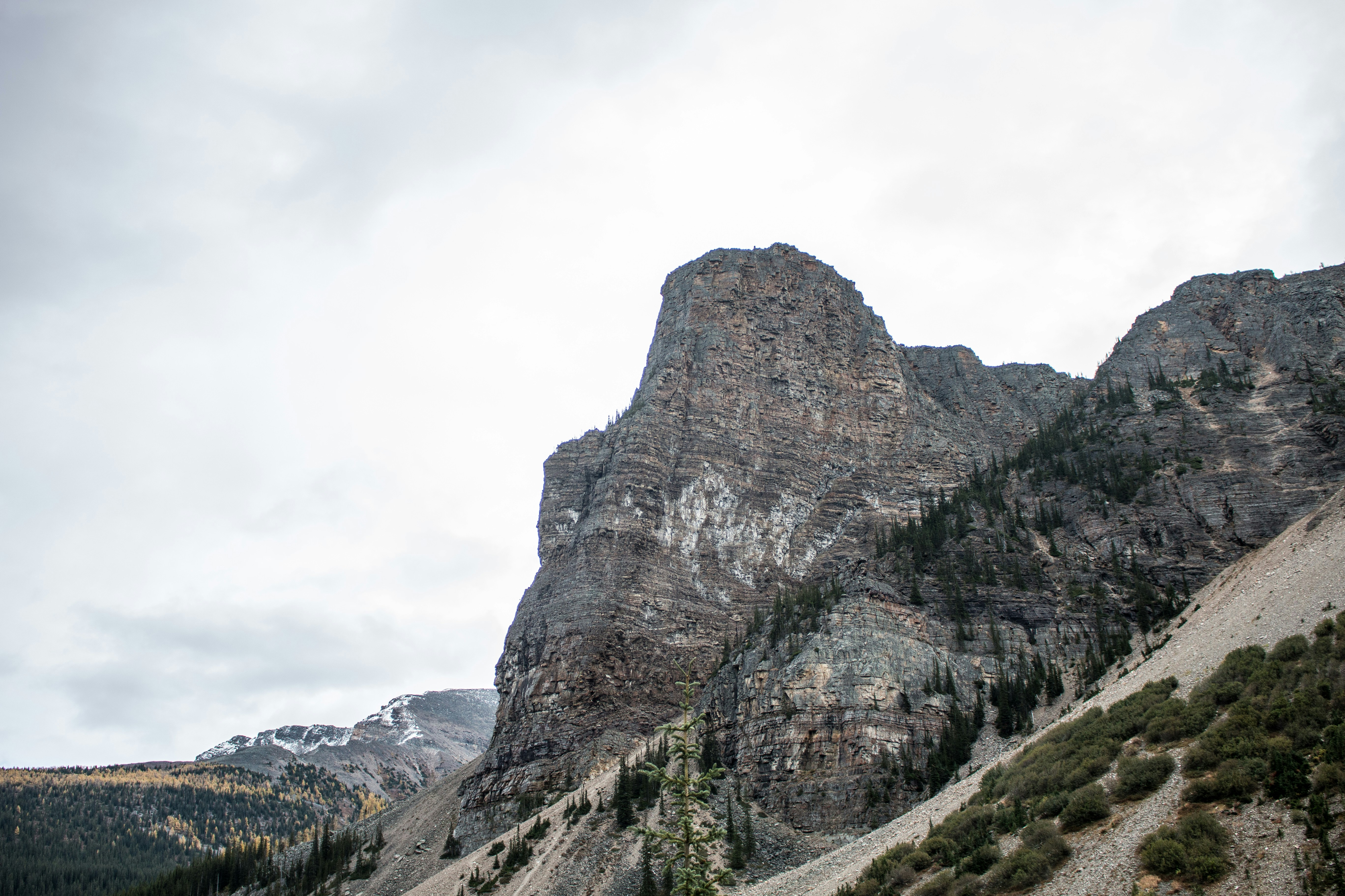 Photo by alexispresa