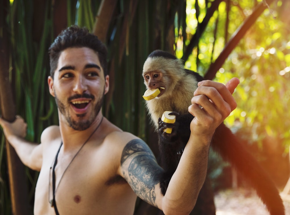 black primate eating food perching on person's left elbow