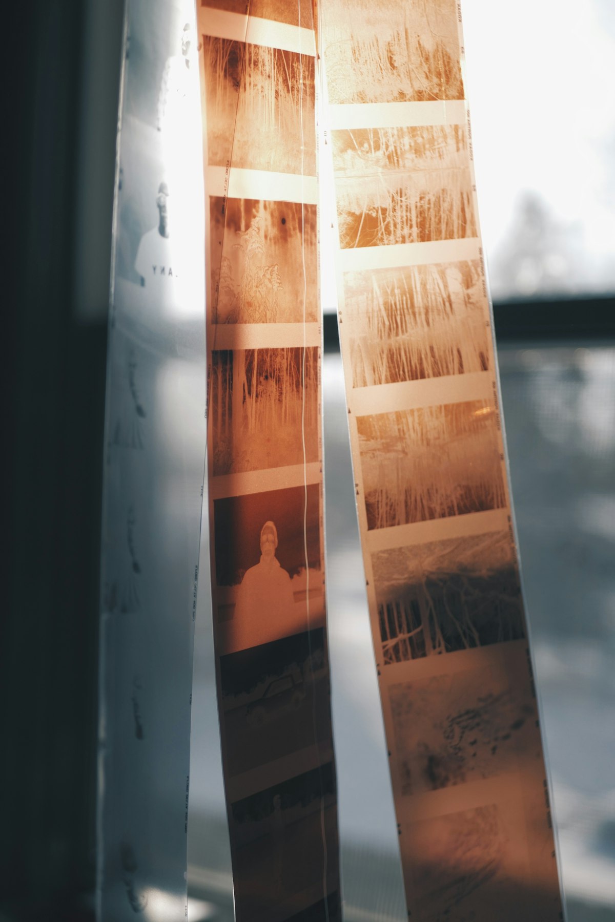 Photographic film negatives held up to window light, evoking the discipline of curation