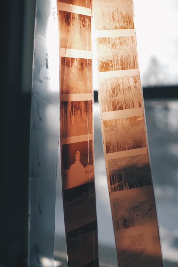 Film negatives held up to window light