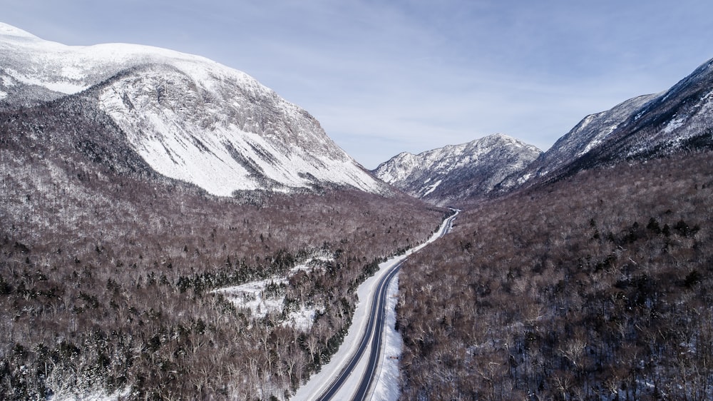 bird's-eye view of roadway covered with snow between trees