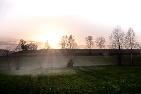 A serene landscape with a sunrise symbolizing new beginnings and hope.