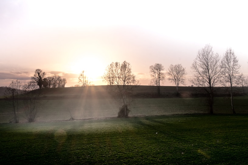 A serene landscape depicting a sunrise, symbolizing hope and inspiration.