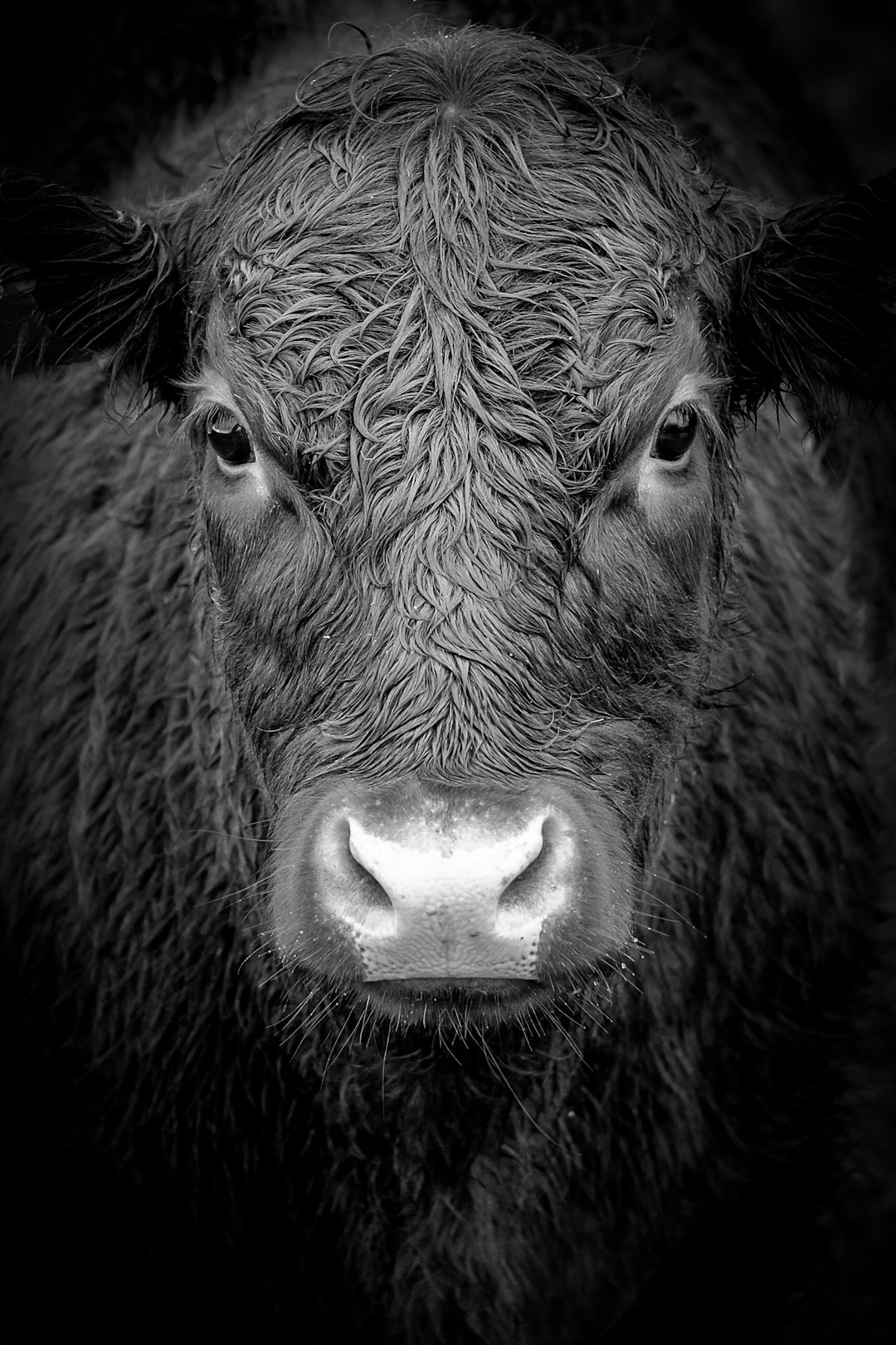 Wildlife photo spot Chichester Marwell Zoo