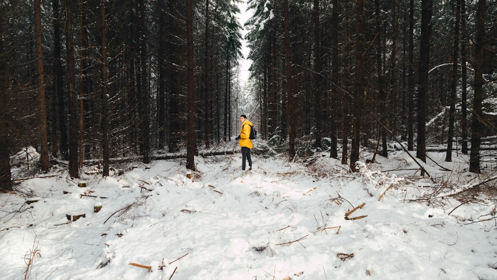 Person in gelber Jacke steht auf Schneefeld umgeben von Kiefern
