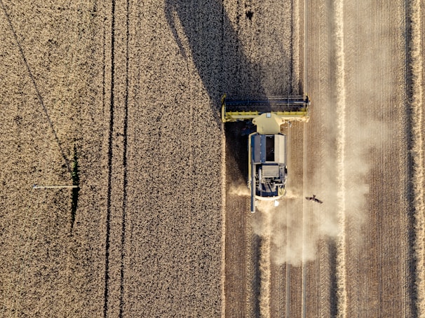 aerial shot of crop field