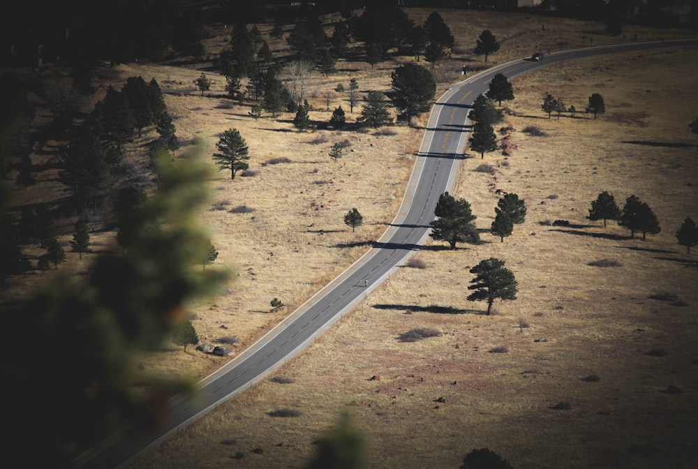 bird's eye view photography of road and trees