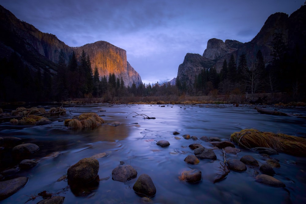 fotografia paesaggistica del Parco Nazionale di Yosemite