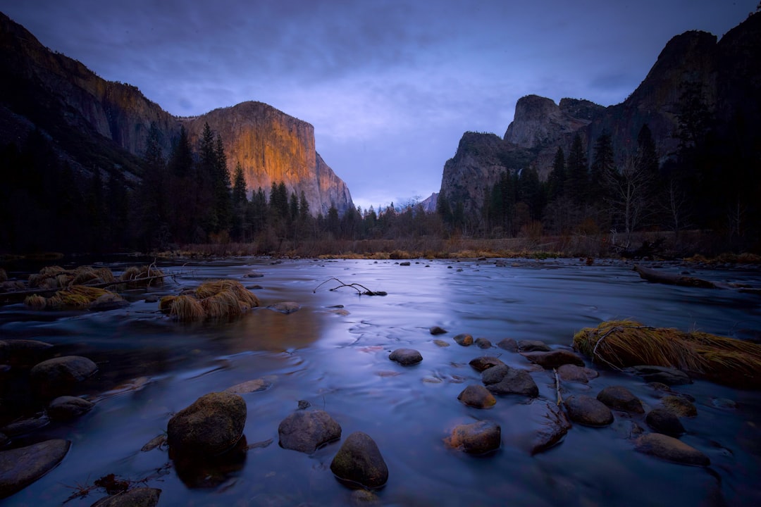 landscape photography of Yosemite National Park