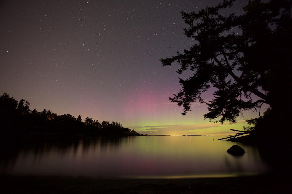 body of water surrounded by trees under gray sky during nighttime