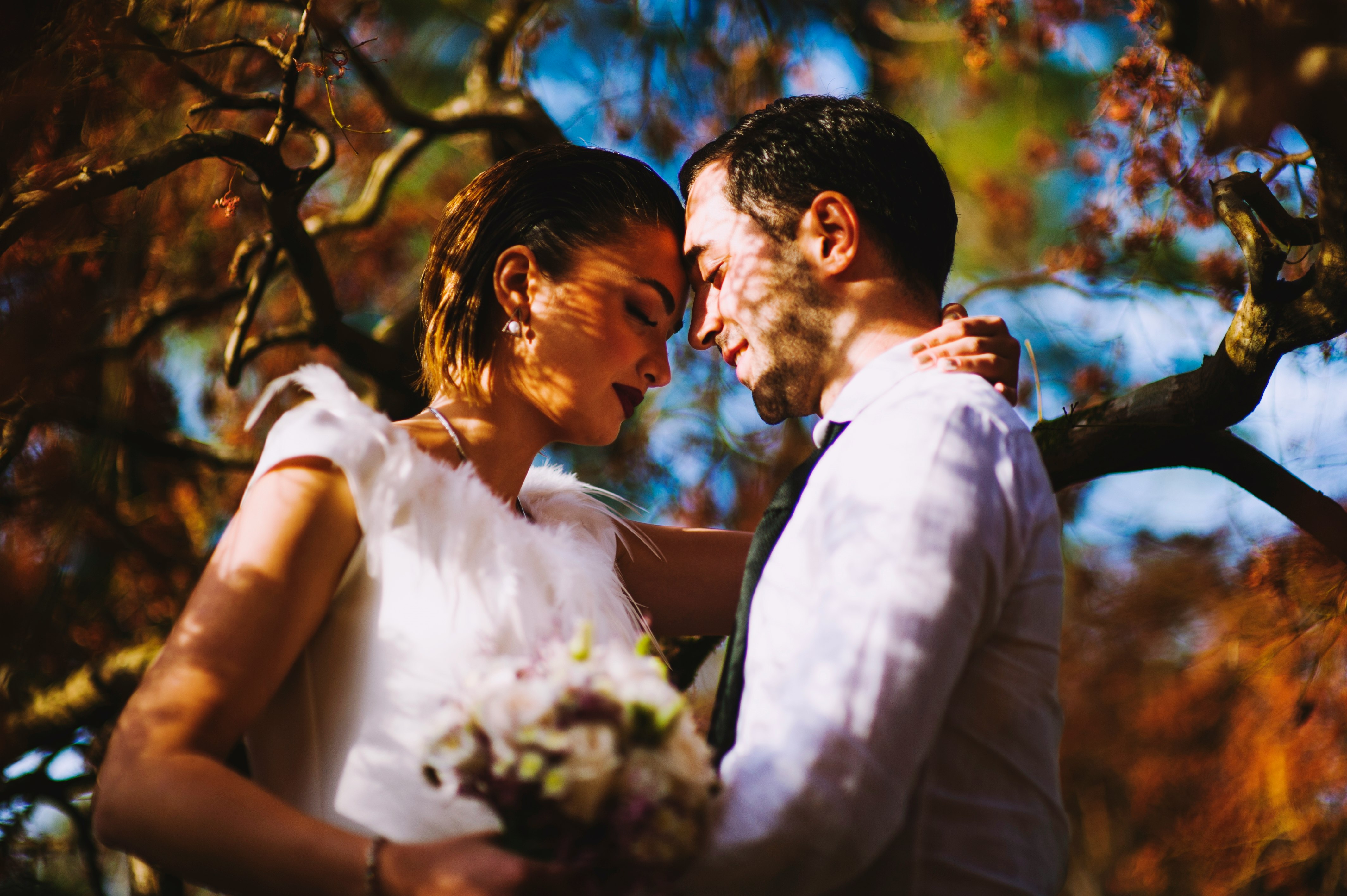 couple under tree tilt shft photo