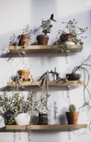 Sleek geometric planters in neutral tones arranged on a wooden shelf with trailing vines spilling over.