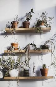 A wall-mounted balcony plant shelf displaying vibrant potted plants against a white wall.