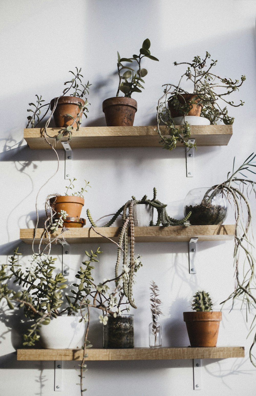 three floating racks filled with flower pots