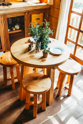plants on brown wooden table indoors