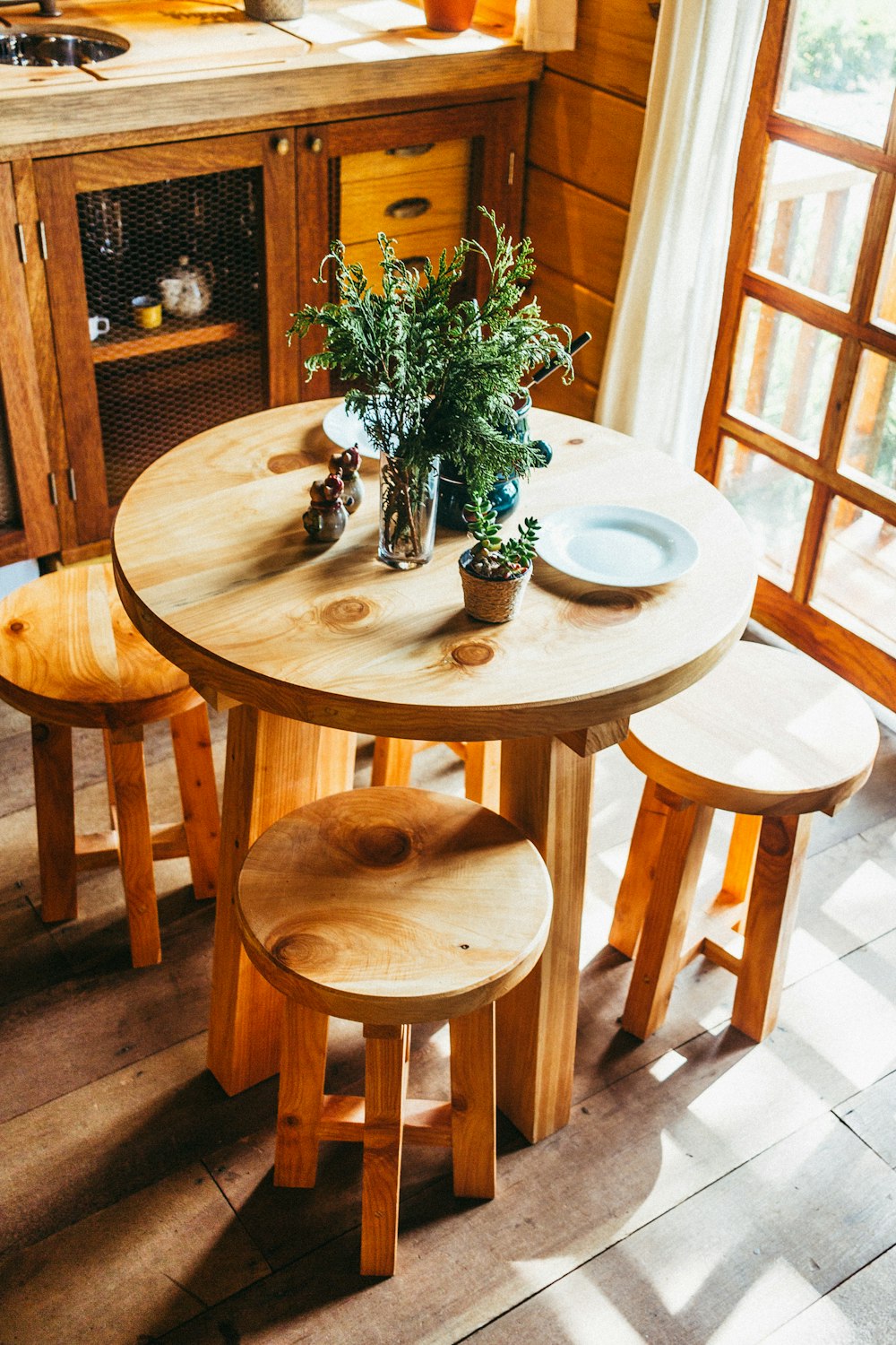 Plantas en mesa de madera marrón en el interior