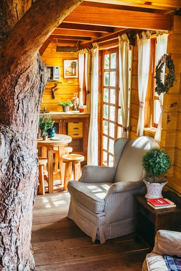 A cozy wooden interior featuring a large tree trunk integrated into the room's design. Sunlight streams through the glass-paned doors, illuminating a plush armchair with striped upholstery beside a wooden side table. Greenery in pots adds a fresh touch, and a small round wooden table with stools is visible near the wooden kitchenette.
