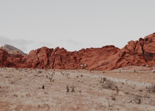 landscape photography of mountain