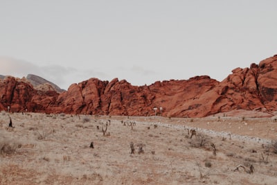 landscape photography of mountain desert google meet background