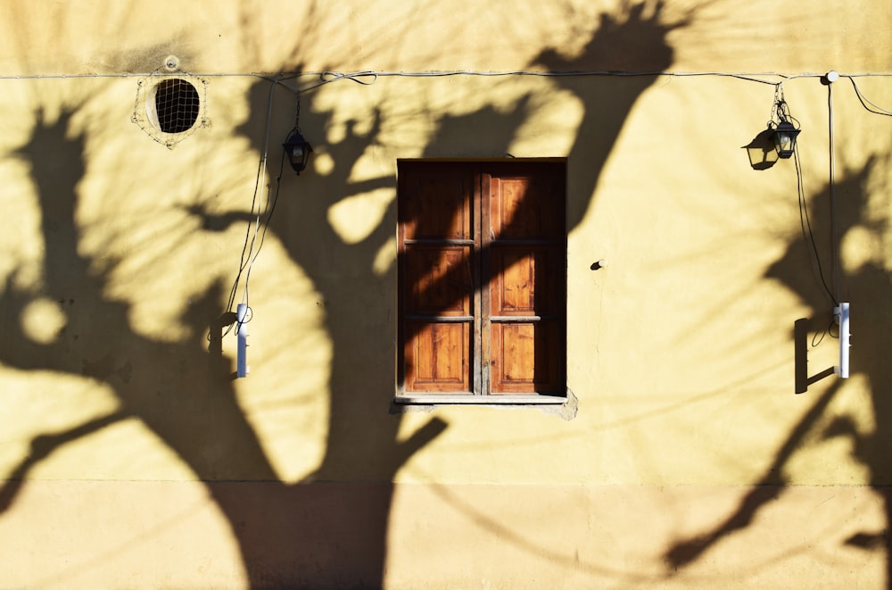 shadow of trees reflecting on beige wall