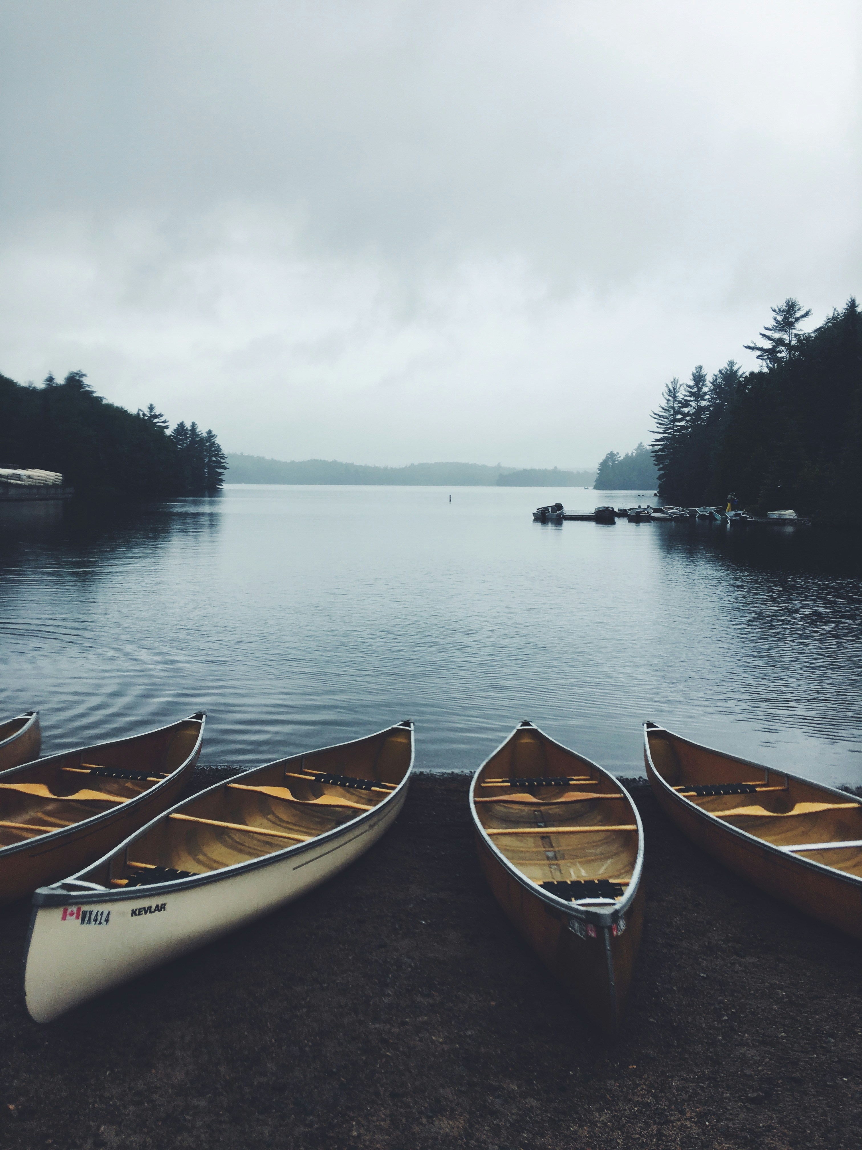 wooden boats on seashore during daytime