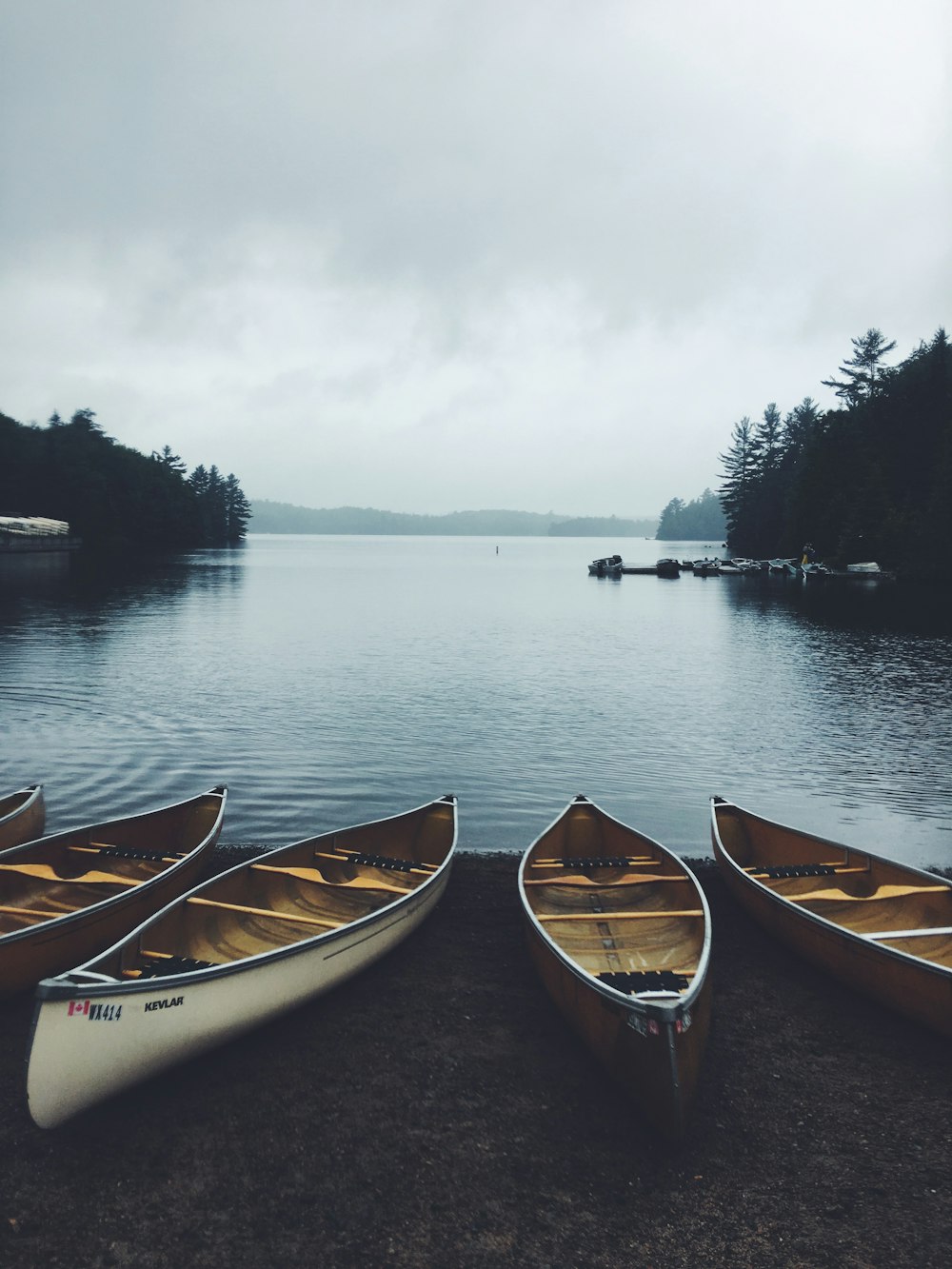 wooden boats on seashore during daytime