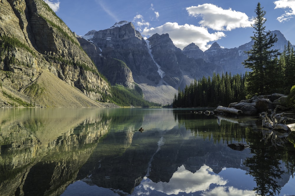 rivière près des montagnes